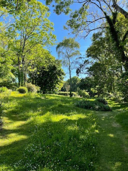 Millbay Cottage: Wonderful River Views Cosheston Kültér fotó